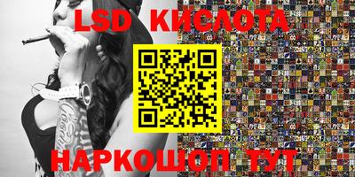 PSILOCYBIN Камышлов