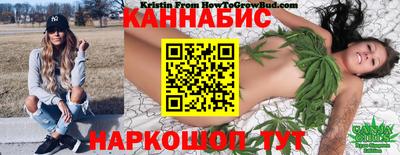 гидра Кандалакша