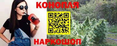 PSILOCYBIN Камышлов