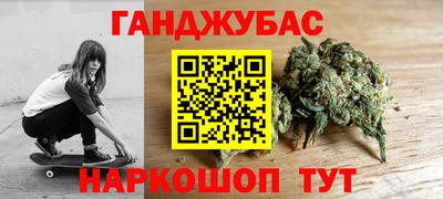 гидра Кандалакша