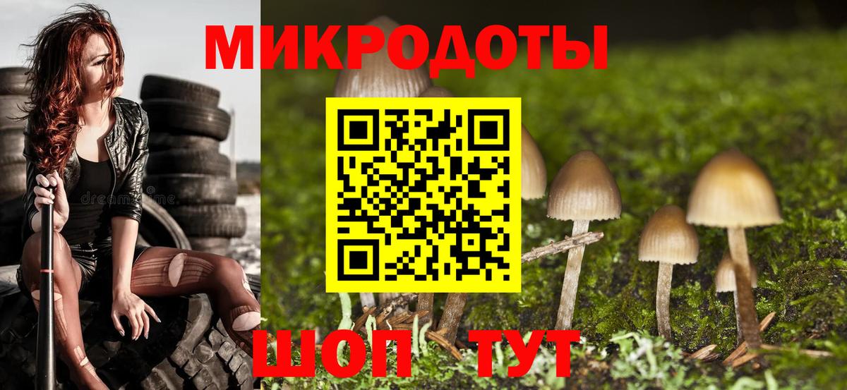 Крымск  Галлюциногенные грибы прущие грибы  Вход с VPN 